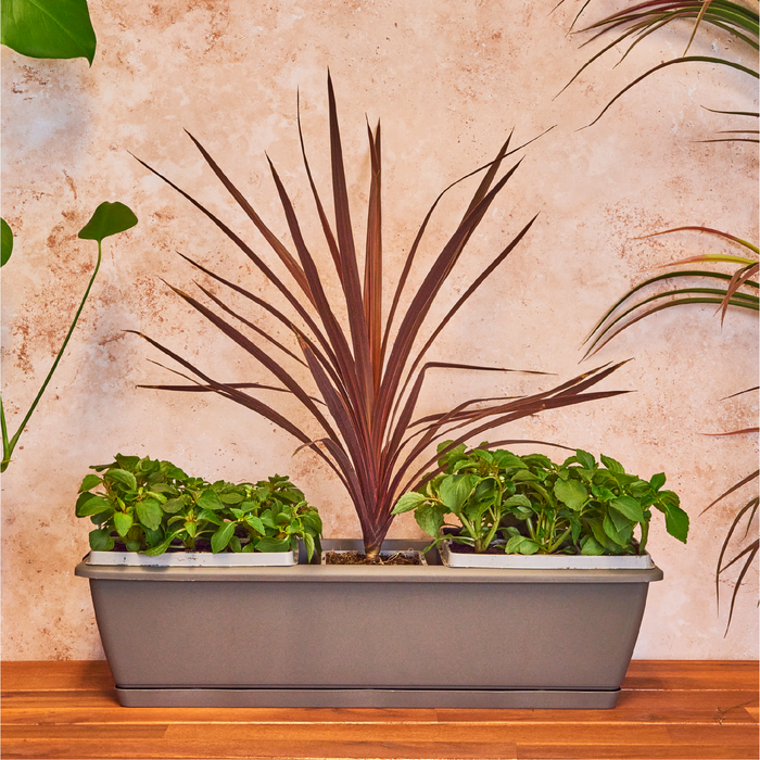 Planters Pride Ovaho 60cm Hanging Plastic Trough, Stone Grey 26L Railing Planter