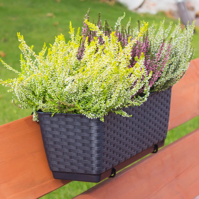 Planters Pride Windo 50cm Plastic Rectangle Window Plant Pot, Anthracite