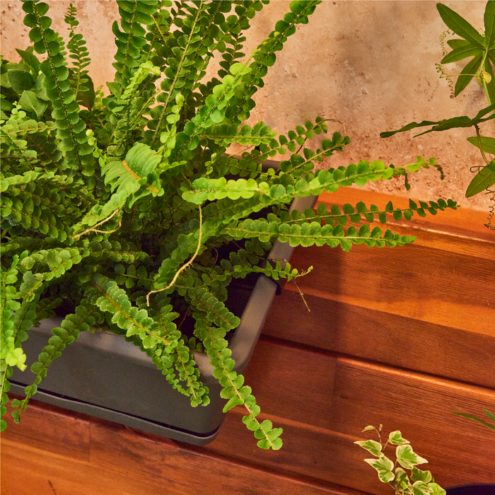 Planters Pride Ovaho 60cm Hanging Plastic Trough, Stone Grey 26L Railing Planter