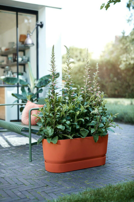 Elho 50cm Plastic Terracotta Trough Planters Flower Pots Plant Pot & Water Tray